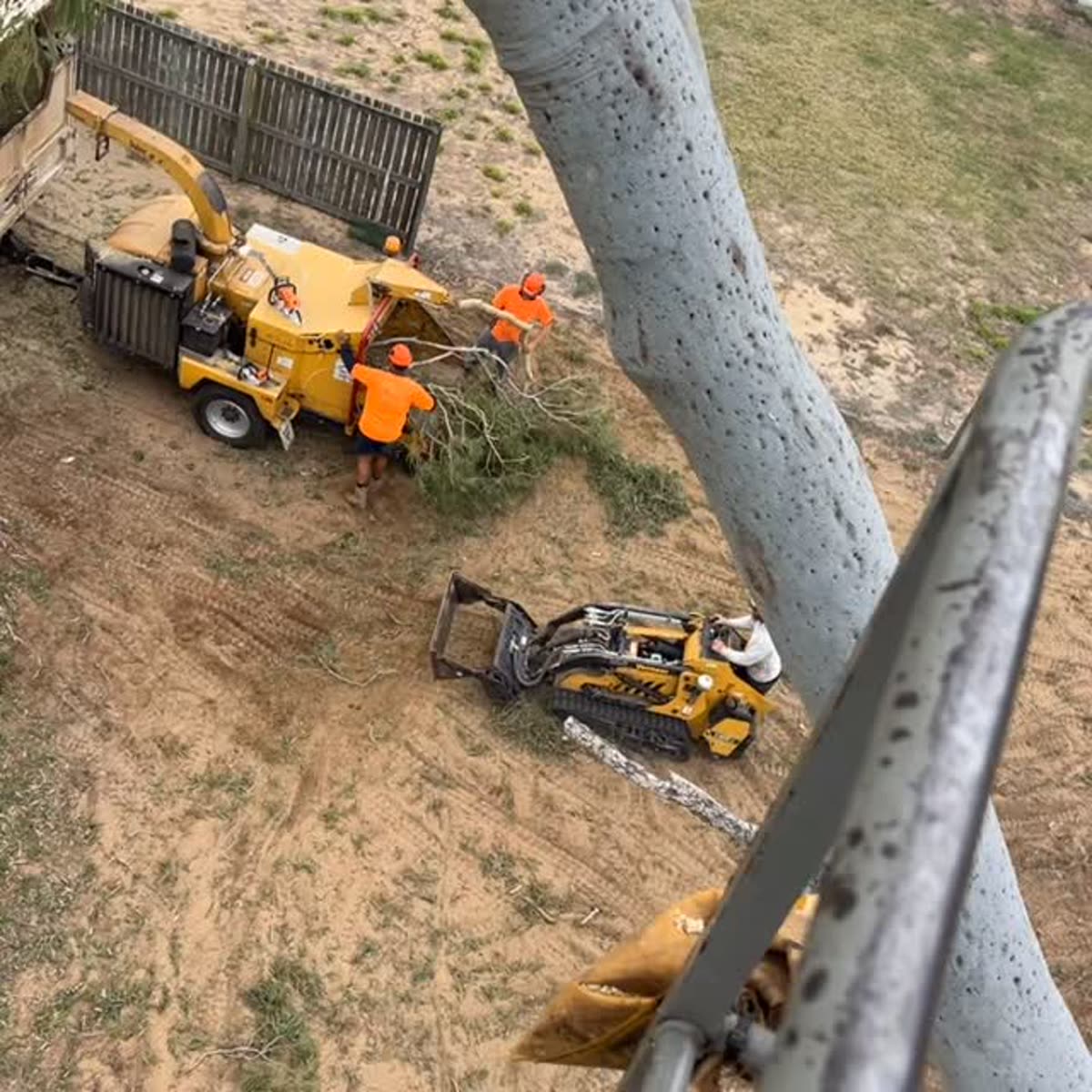 Chipper and excavator clearing a block, felled trunk alongside